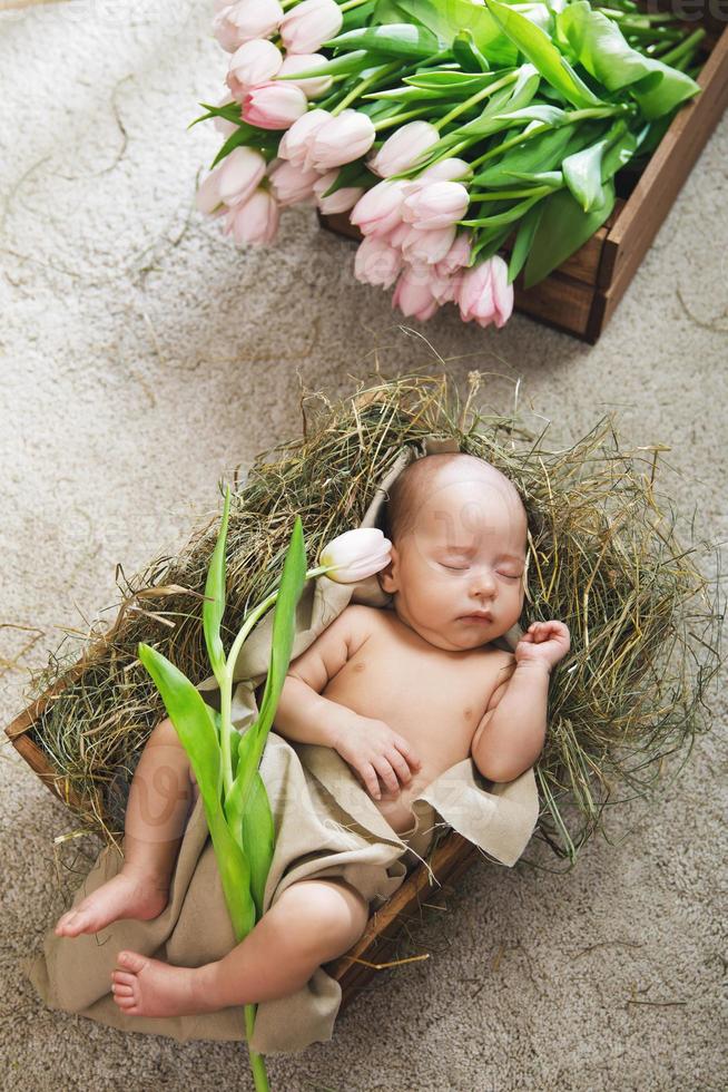 un lindo bebé está tirado en la caja de madera y un montón de tulipanes rosas foto