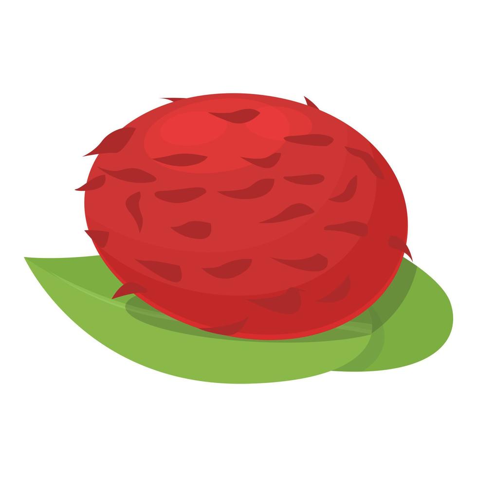 vector de dibujos animados de icono de rambután de hoja. fruta tropical