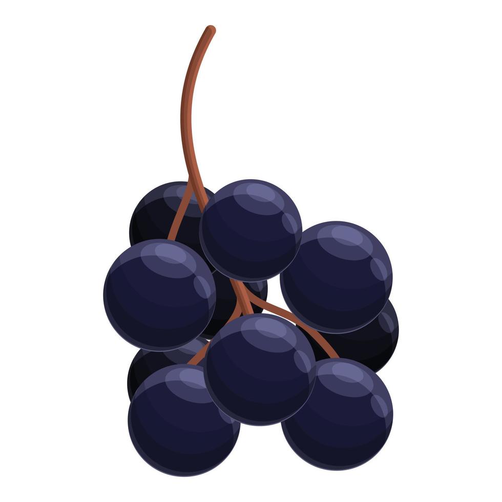 Sweet elderberry icon, cartoon style vector