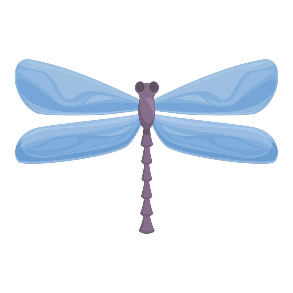 Spring dragonfly icon cartoon vector. Wing bug vector