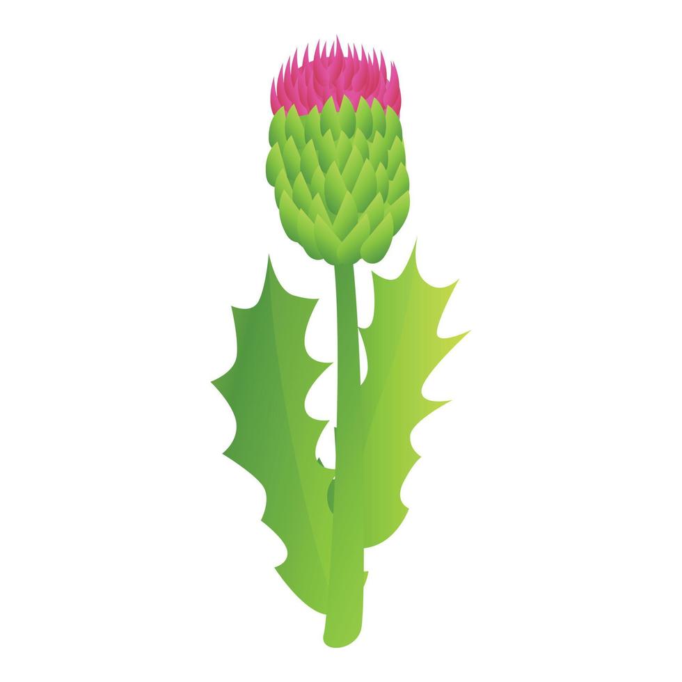 cardo, bio, planta, icono, caricatura, estilo vector