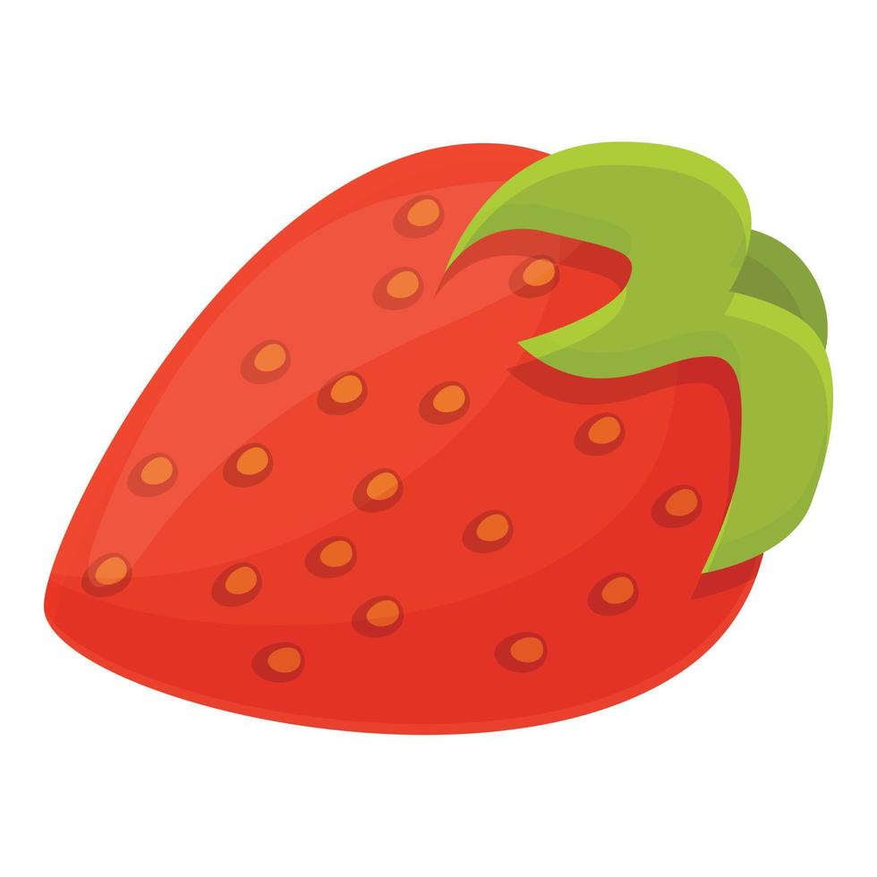 icono de vitamina de fruta, estilo de dibujos animados vector