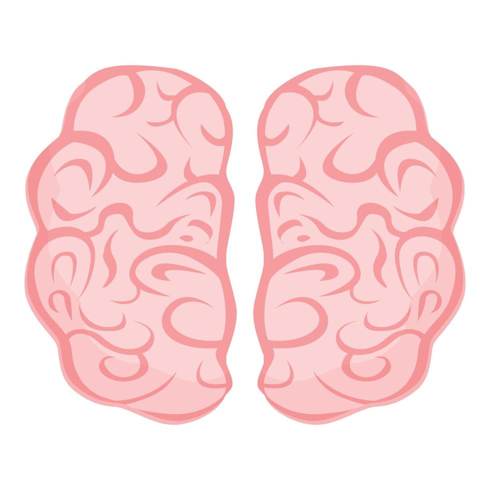 Human brain cord icon, cartoon style vector