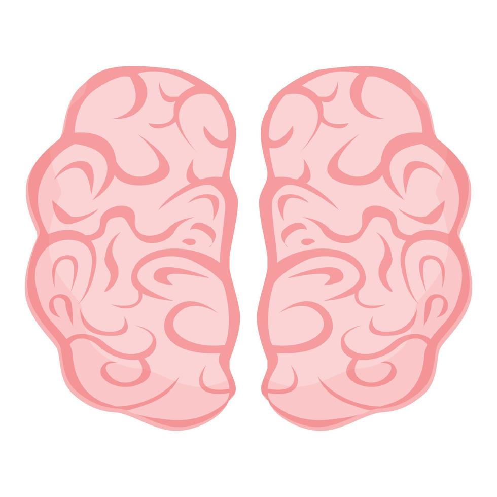 Human brain cord icon, cartoon style vector