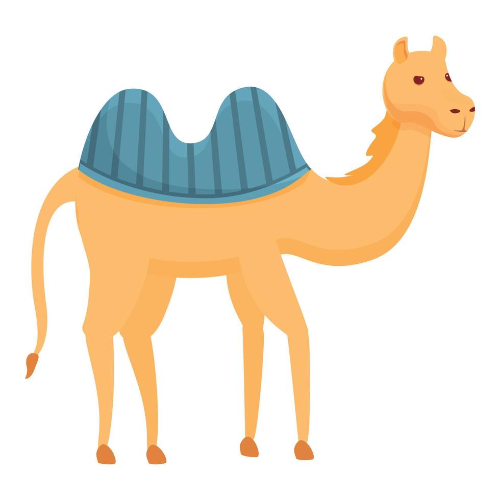 Egypt camel icon, cartoon style vector