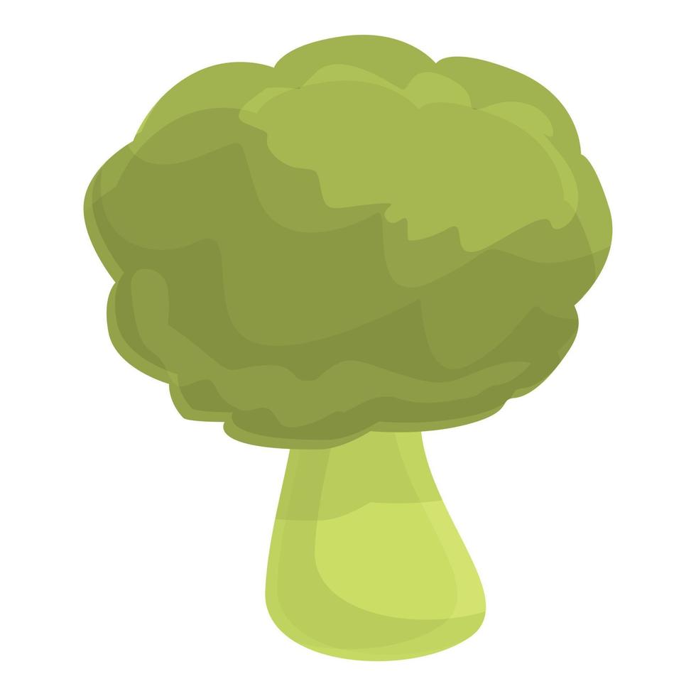 Protein brocoli icon, cartoon style vector