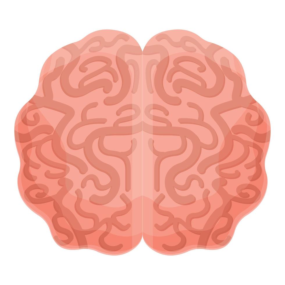 Human brain cerebellum icon, cartoon style vector