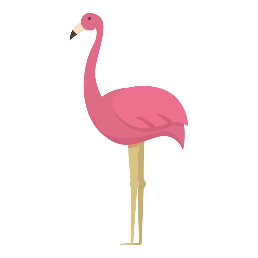 Argentina flamingo icon cartoon vector. Travel aires vector