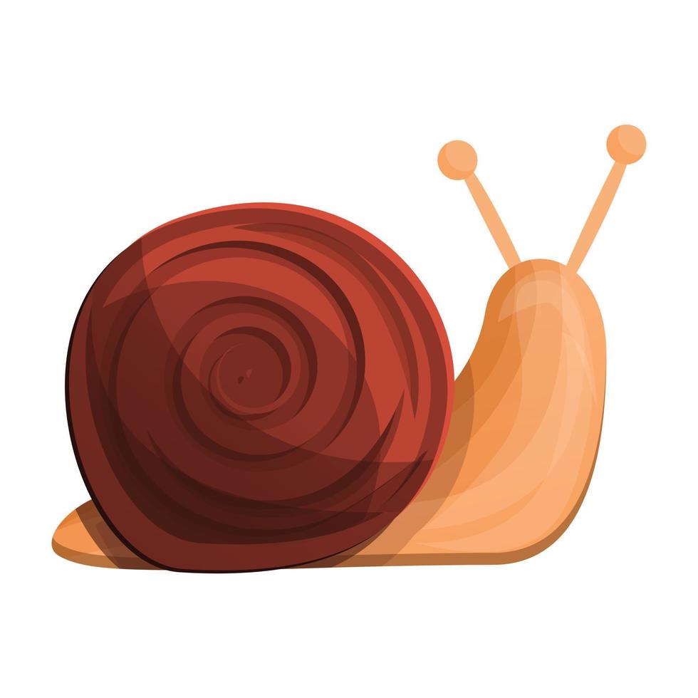 Snail icon, cartoon style vector