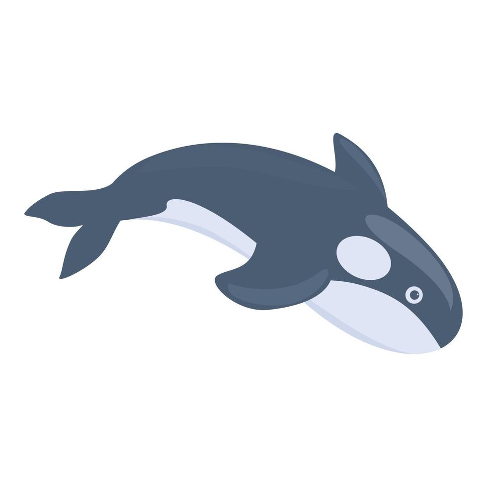 Swimming killer whale icon, cartoon style vector