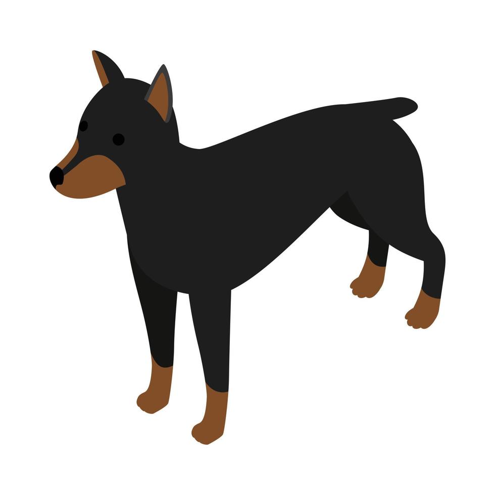 icono de perro doberman, estilo 3d isométrico vector