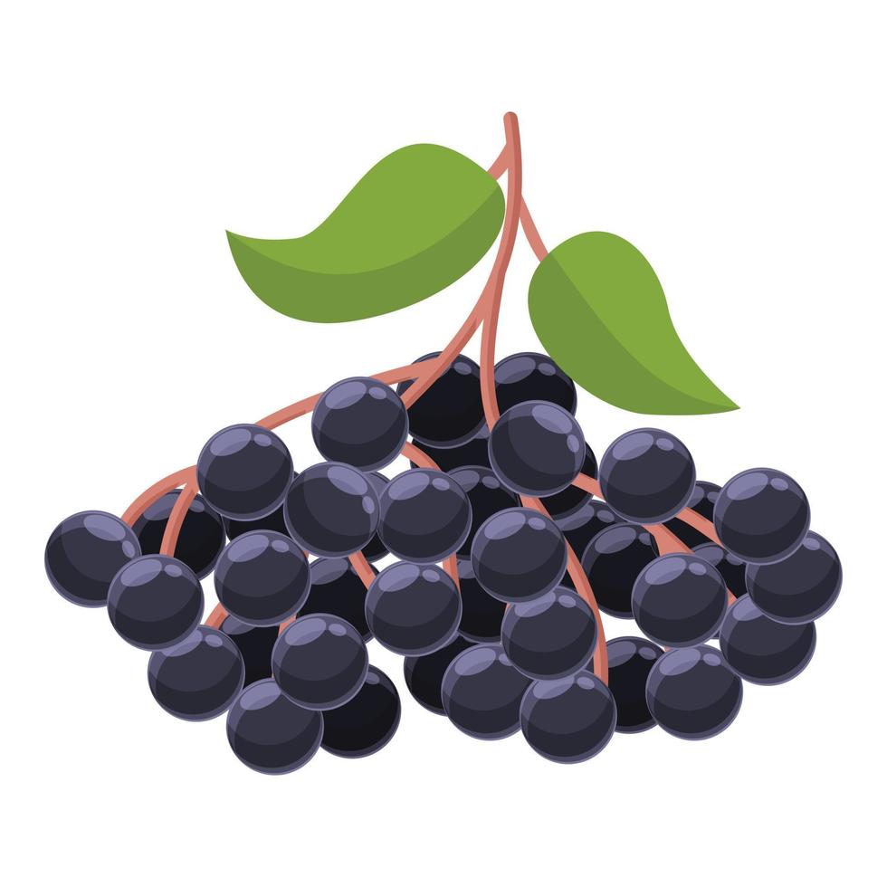 Juicy elderberry icon, cartoon style vector