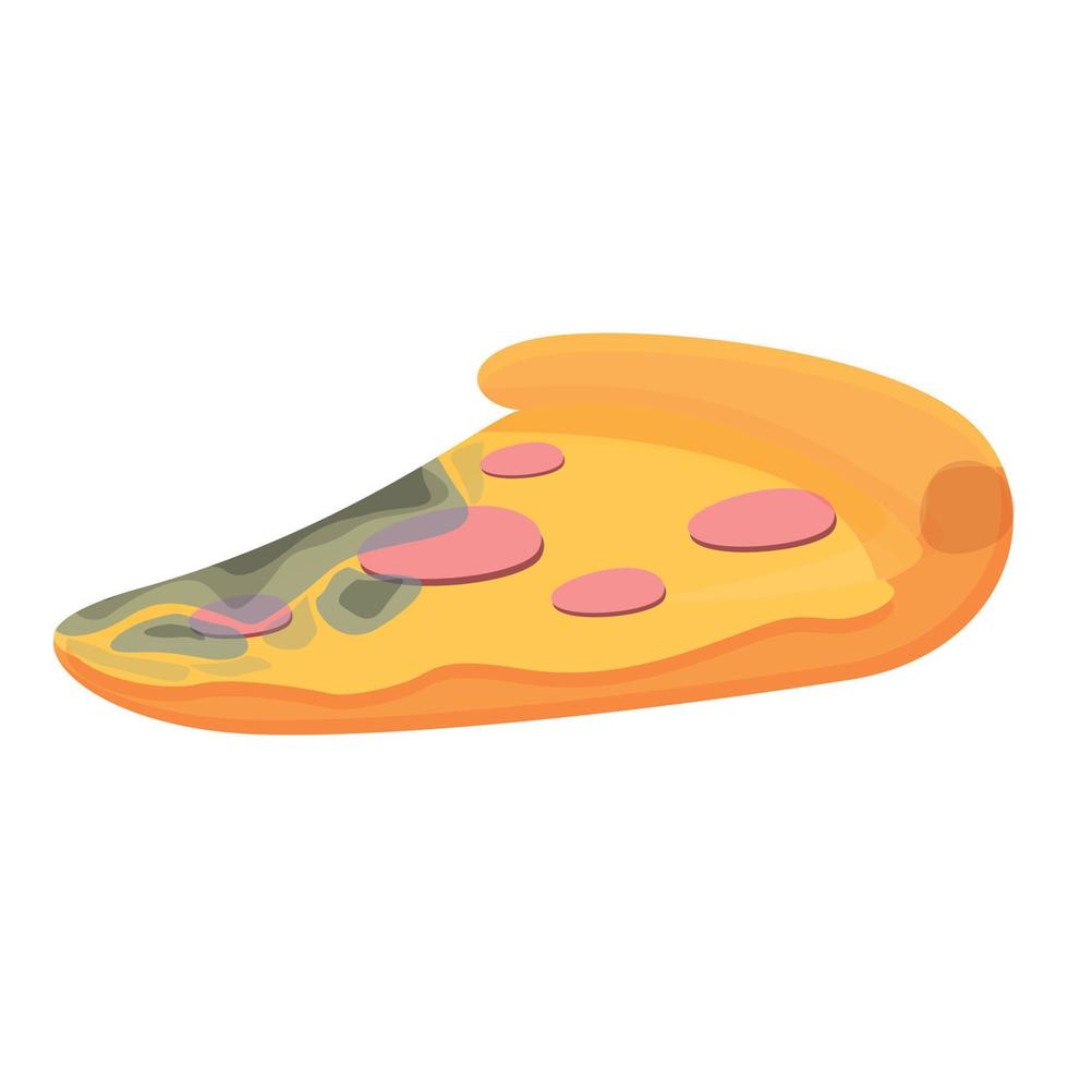 Contaminated pizza slice icon cartoon vector. Dirty trash vector