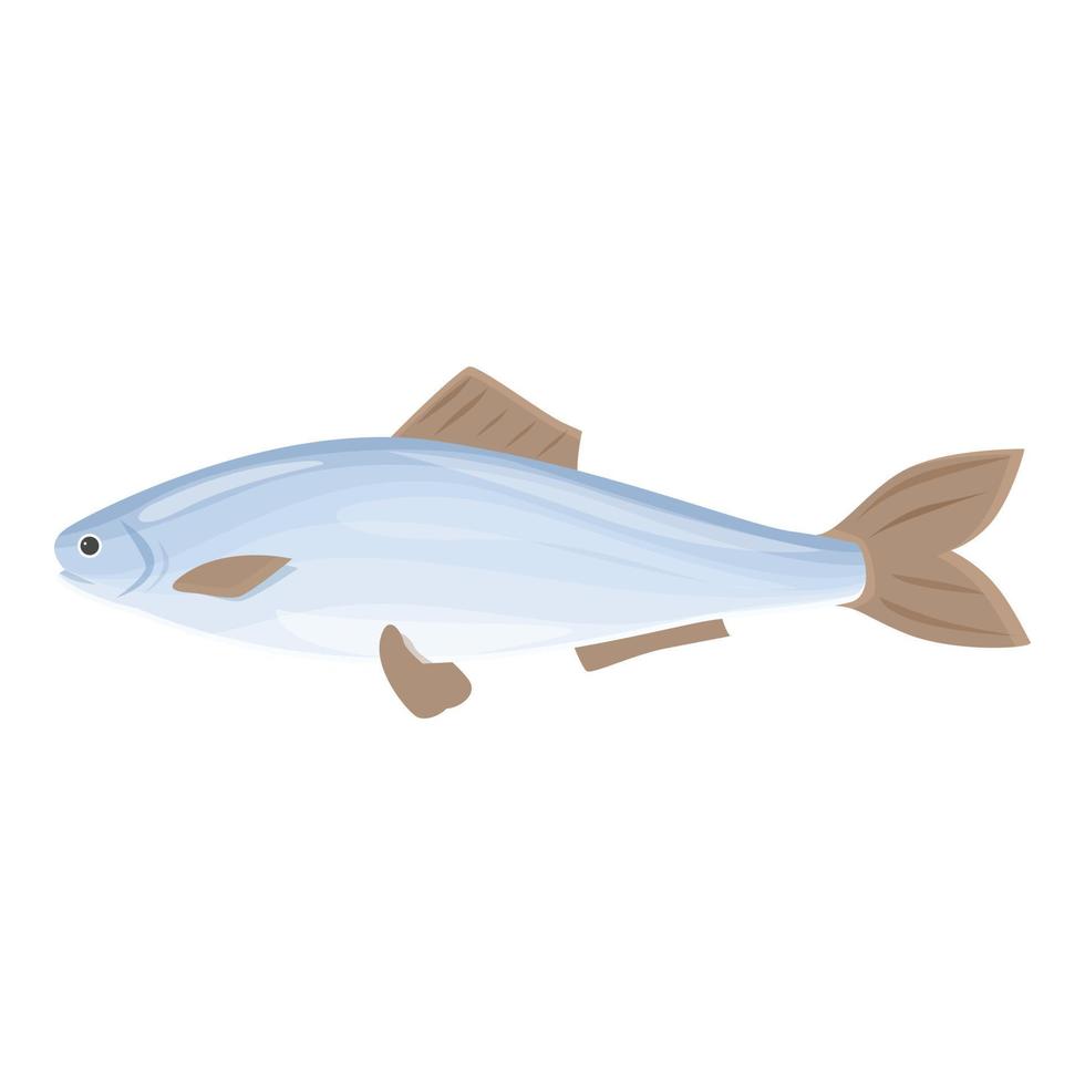 vector de dibujos animados de icono de sardina. arenque de mar
