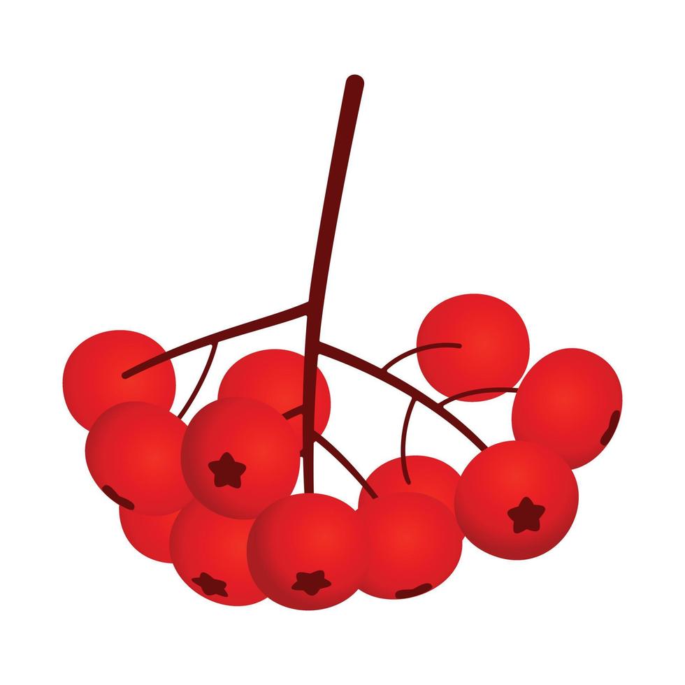 Rowan icon, flat style vector