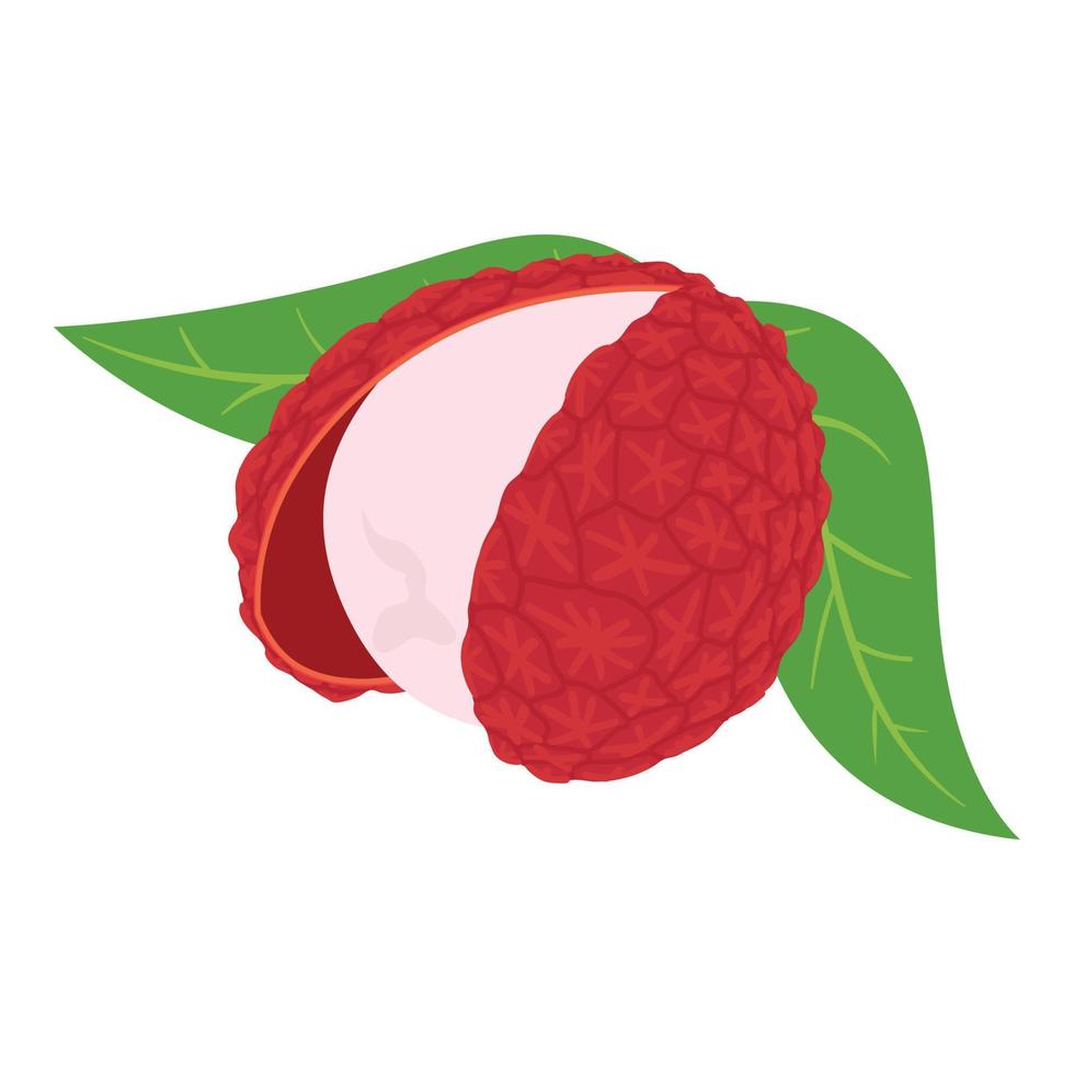 Lychee fruit con, isometric style vector
