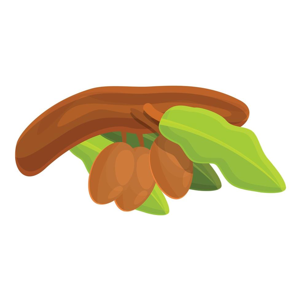Shea tree wood branch icon, cartoon style vector