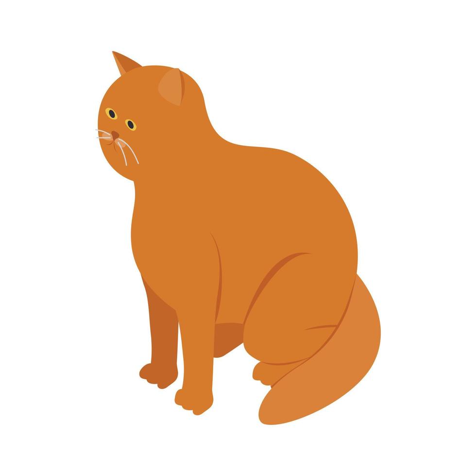 Big orange cat icon, isometric 3d style vector