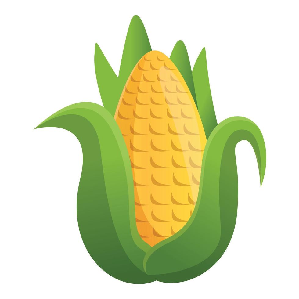 Farm corn icon, cartoon style vector