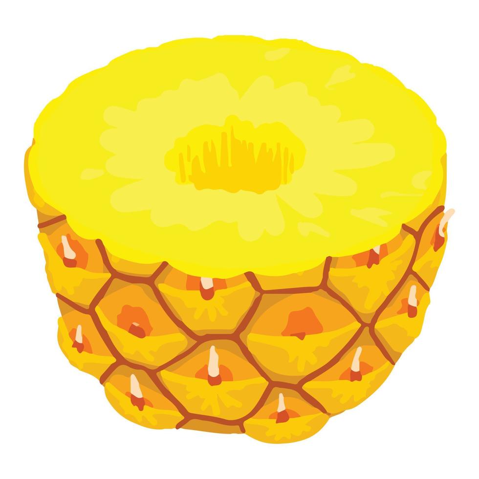 Half pineapple icon, isometric style vector