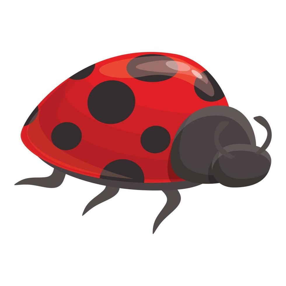 vector de dibujos animados de icono de error de escarabajo. insecto mariquita