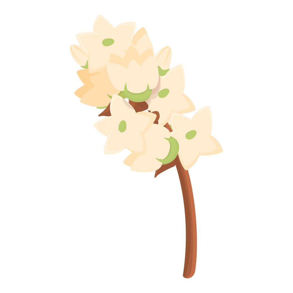 vector de dibujos animados de icono de flor de trigo sarraceno crudo. planta de cereales