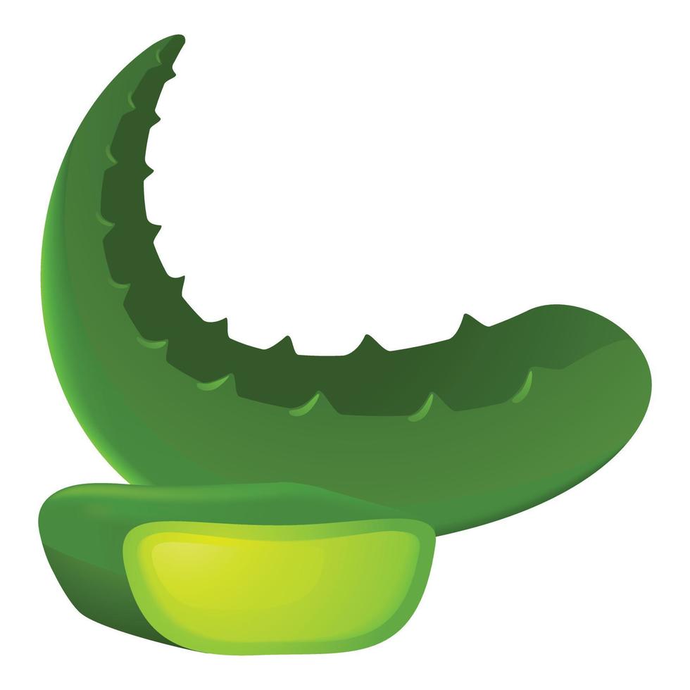 Green aloe leaf icon, cartoon style vector