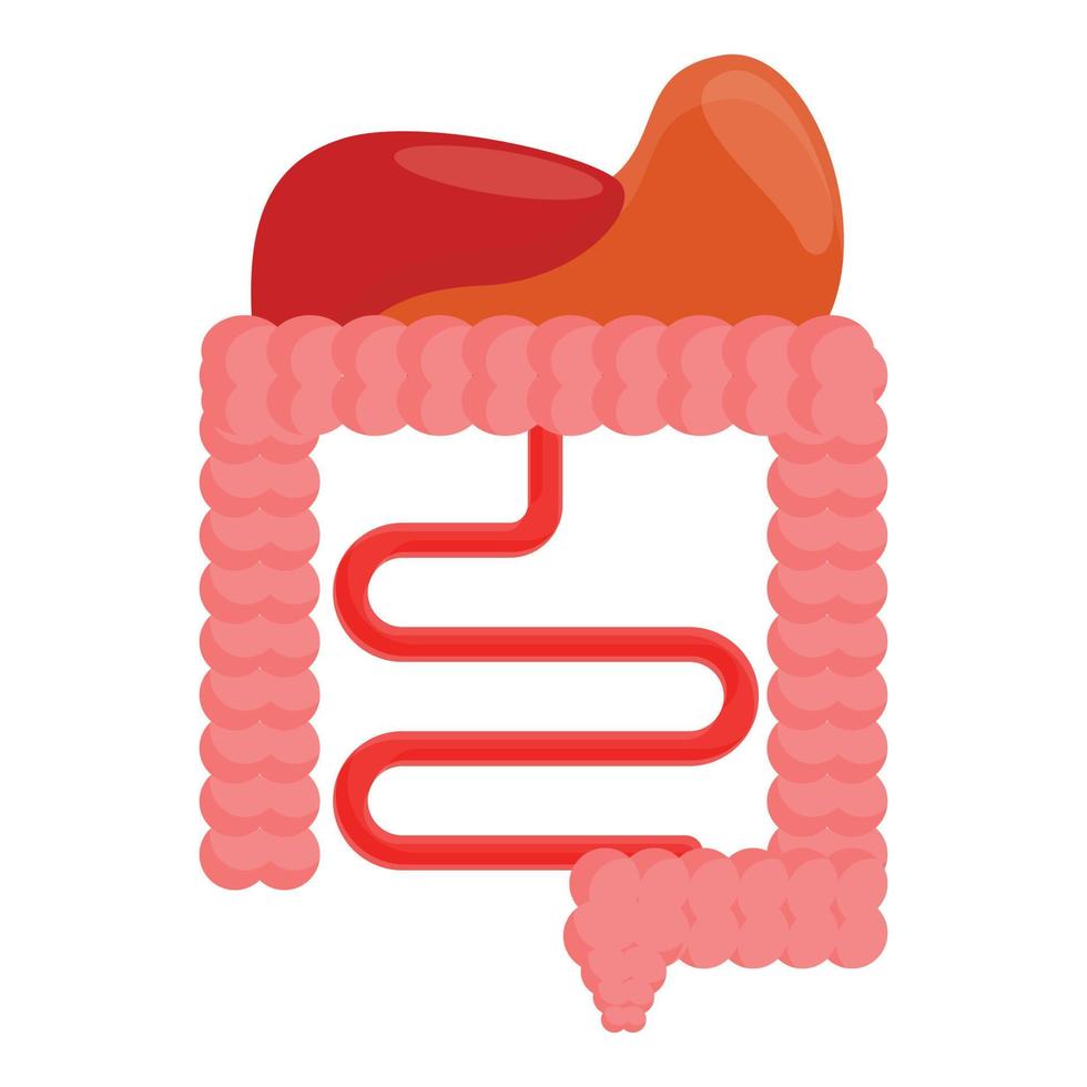 Digestion system icon, cartoon style vector