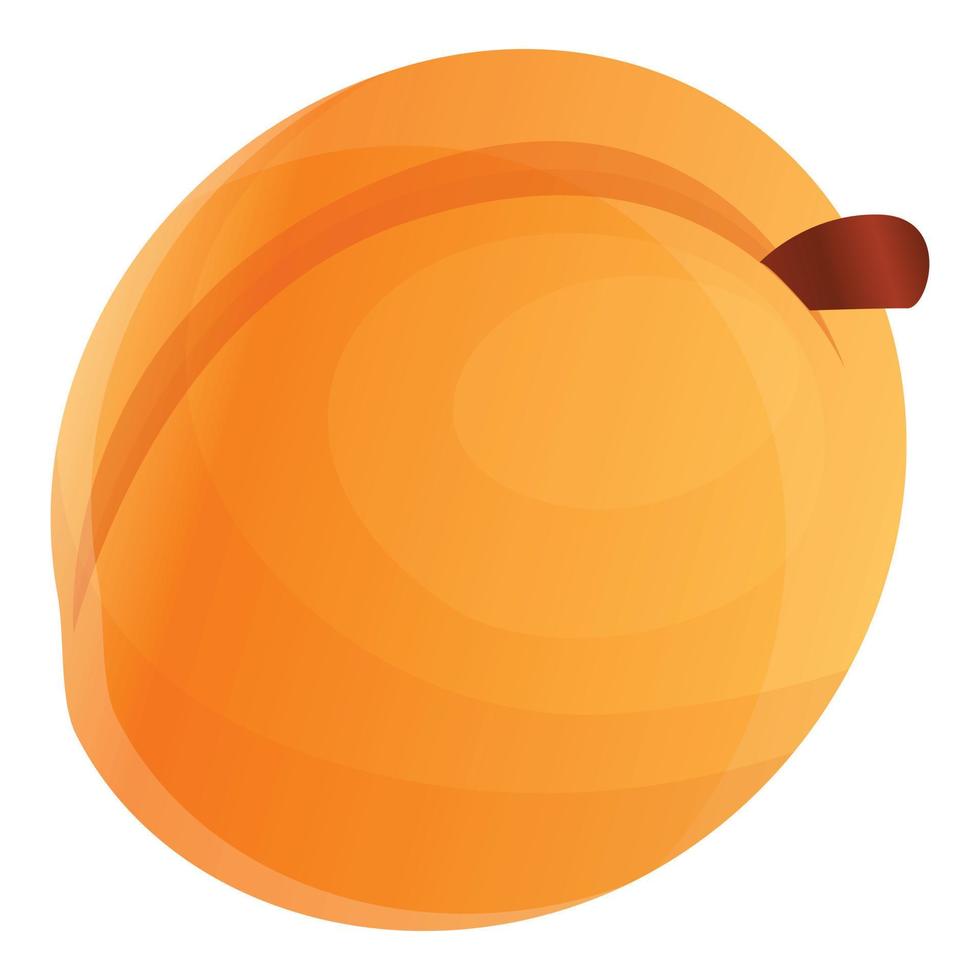 Tasty apricot icon, cartoon style vector