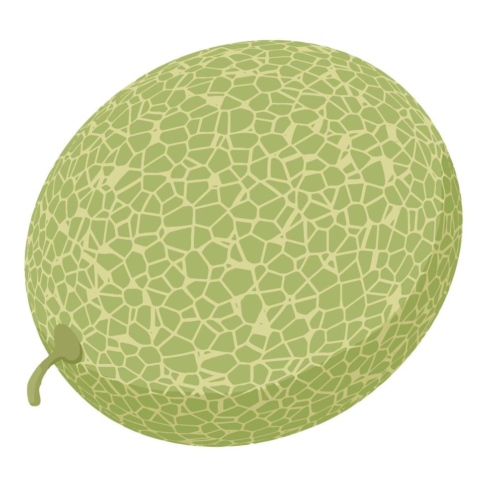 icono de melón de jardín entero, estilo isométrico vector