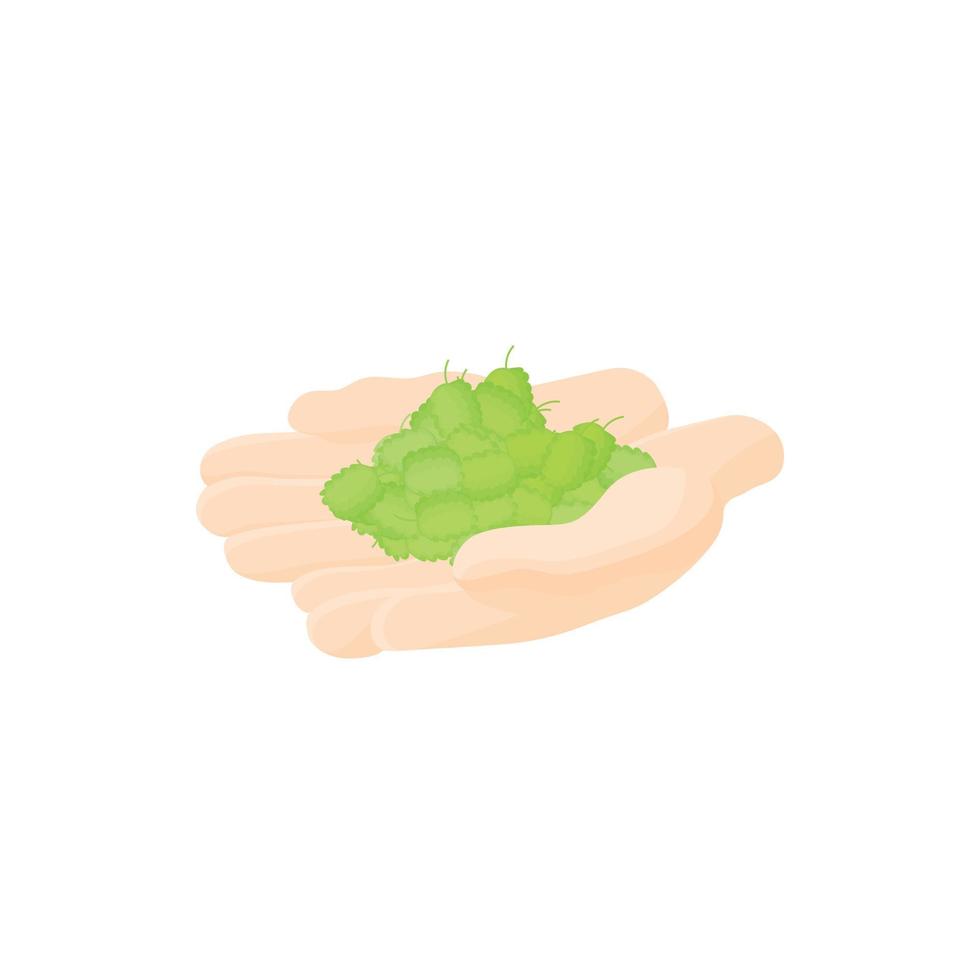 Hop cones in hands icon, cartoon style vector
