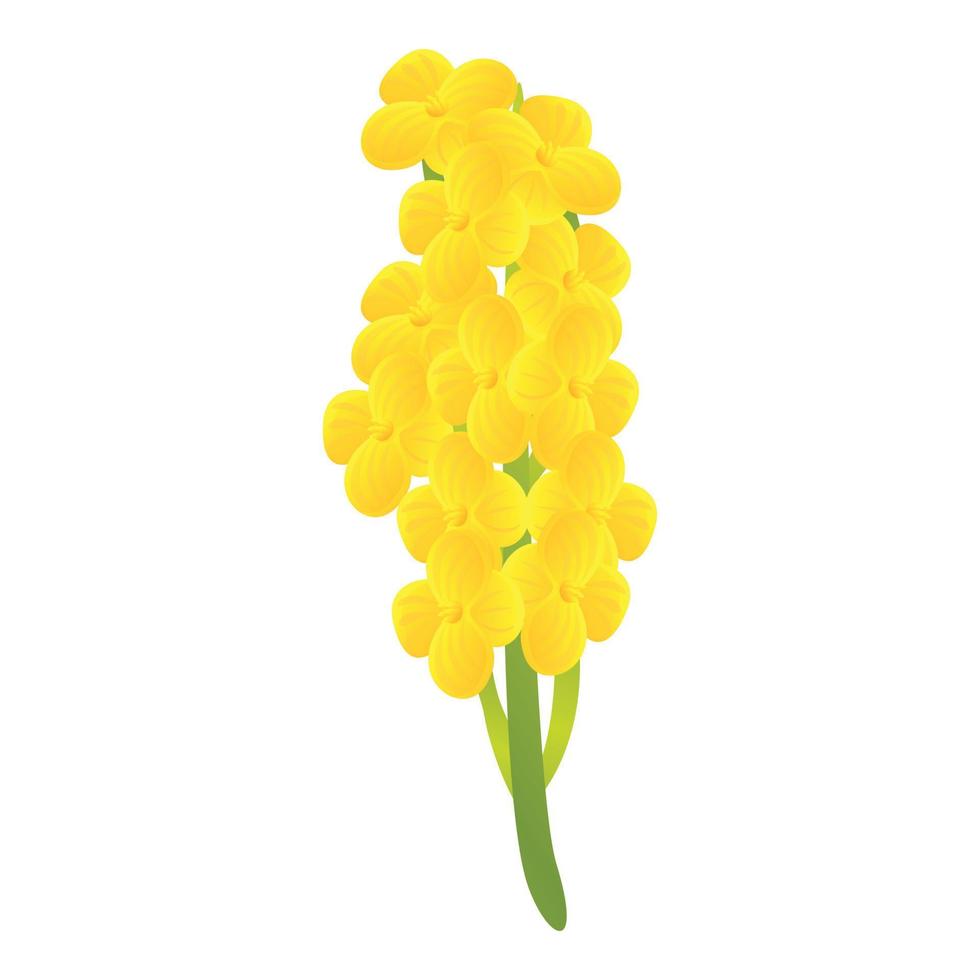 icono de bio planta de canola, estilo de dibujos animados vector