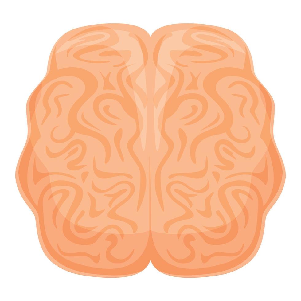 icono de la anatomía del cerebro humano, estilo de dibujos animados vector