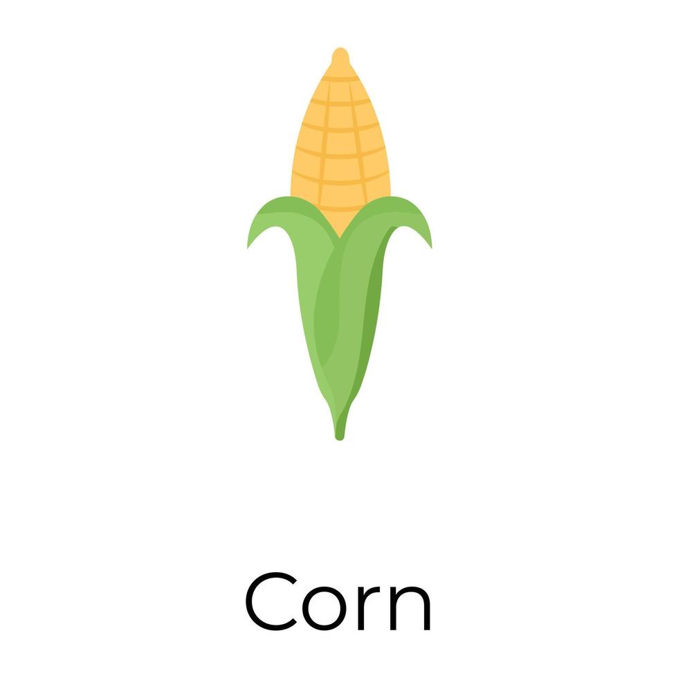 Trendy Corn Concepts vector