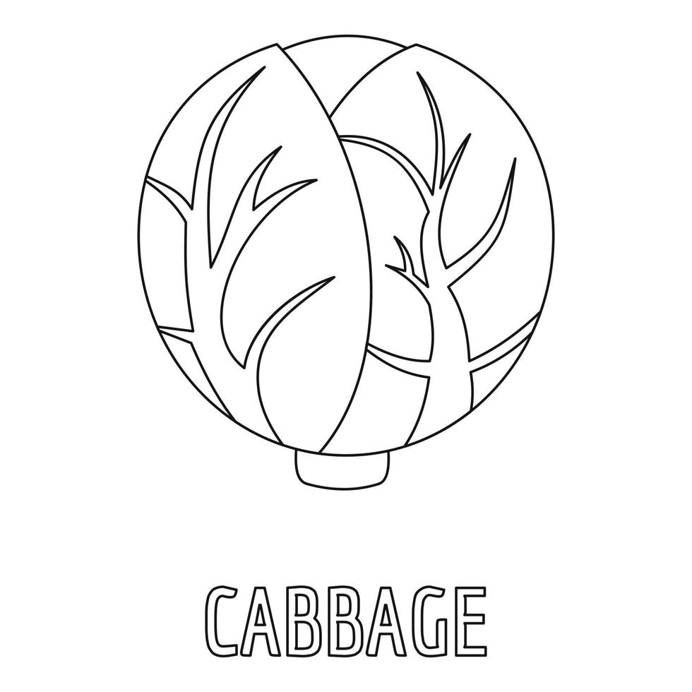 Cabbage icon, outline style. vector