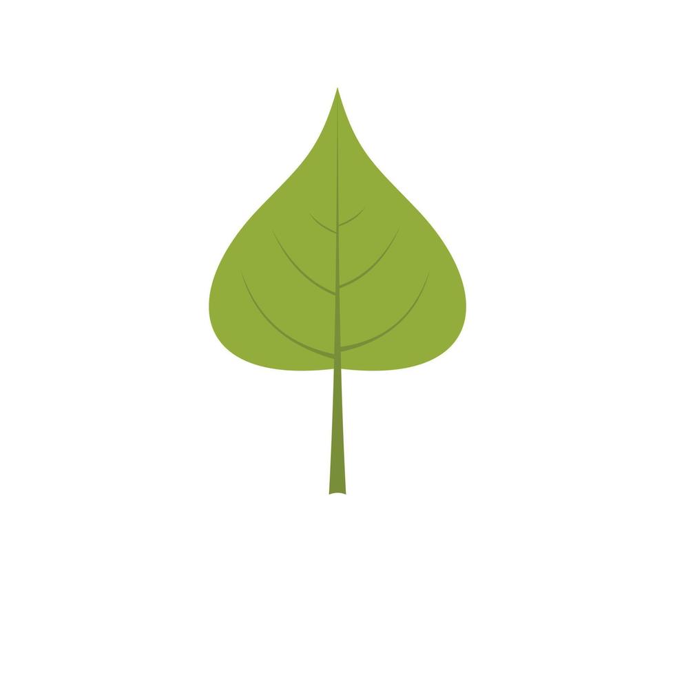 Poplar leaf icon, flat style vector