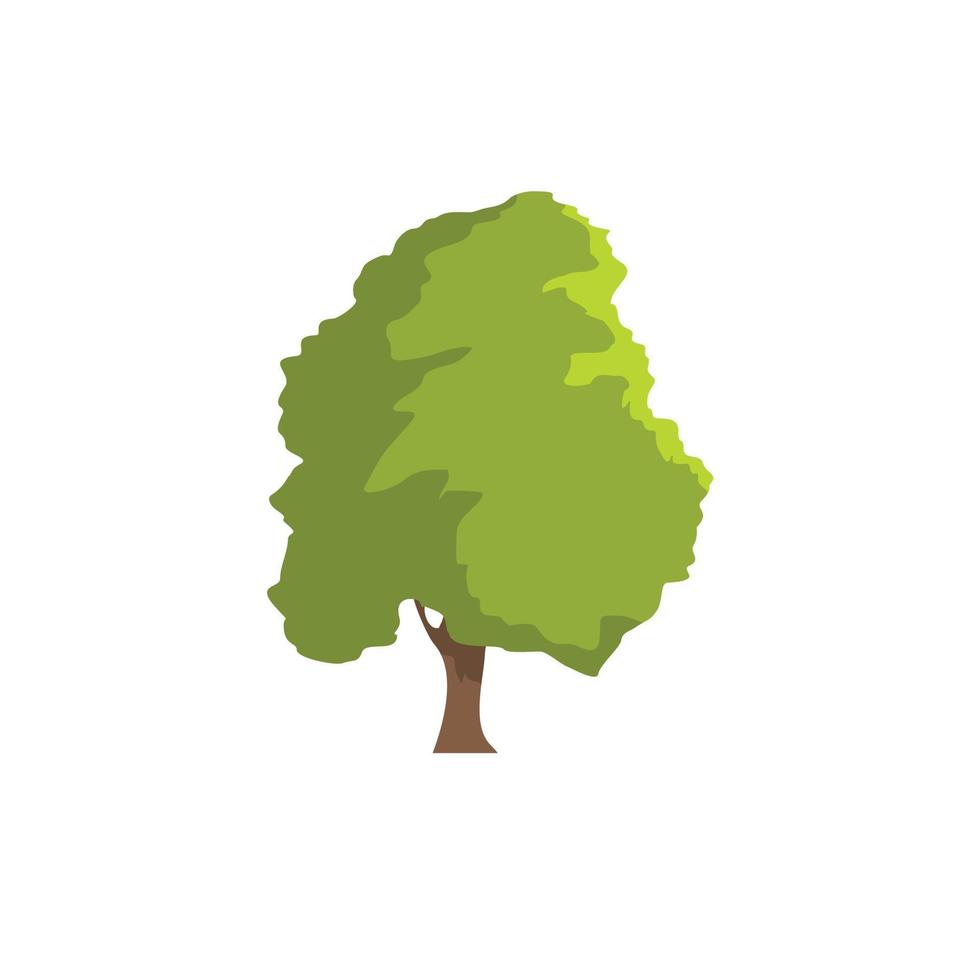 Cedar tree icon, flat style vector