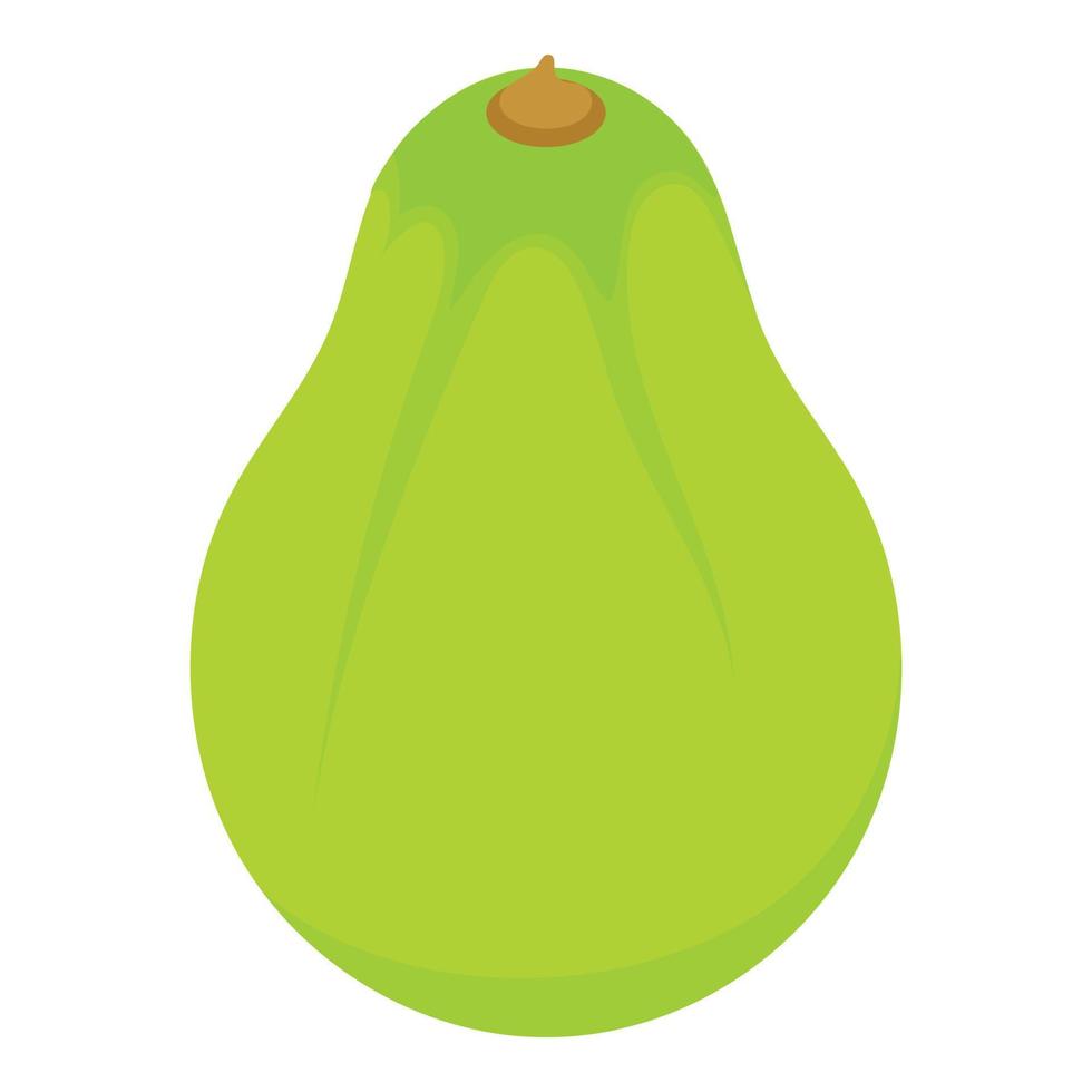 Tropical papaya fruit icon, isometric style vector
