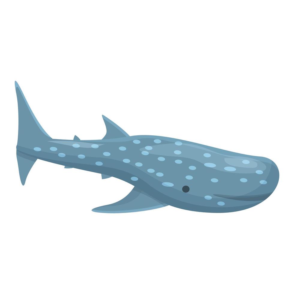 vector de dibujos animados de icono de tiburón ballena profundo. Especies de peces