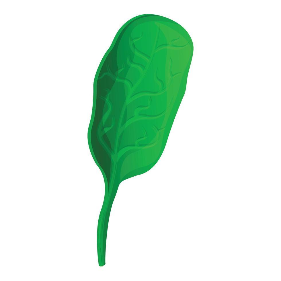 Eco spinach icon, cartoon style vector