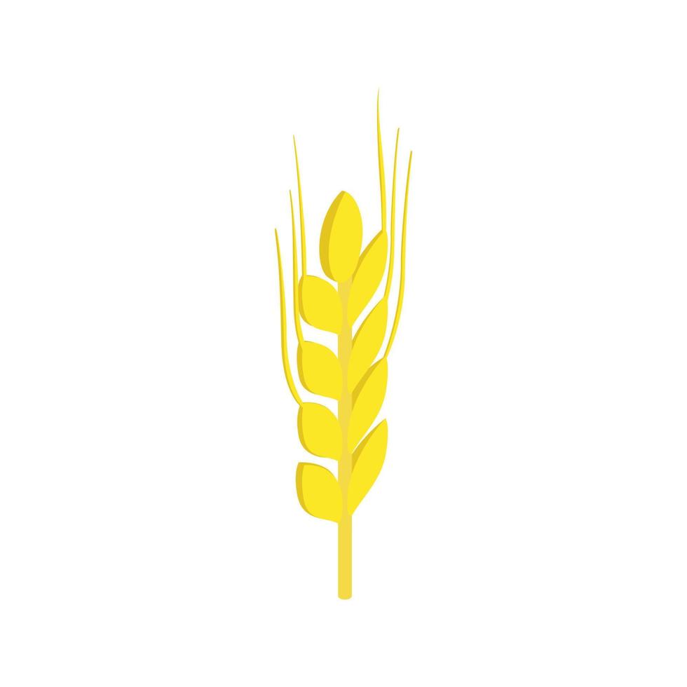 Two stalks of ripe barley isometric 3d icon vector