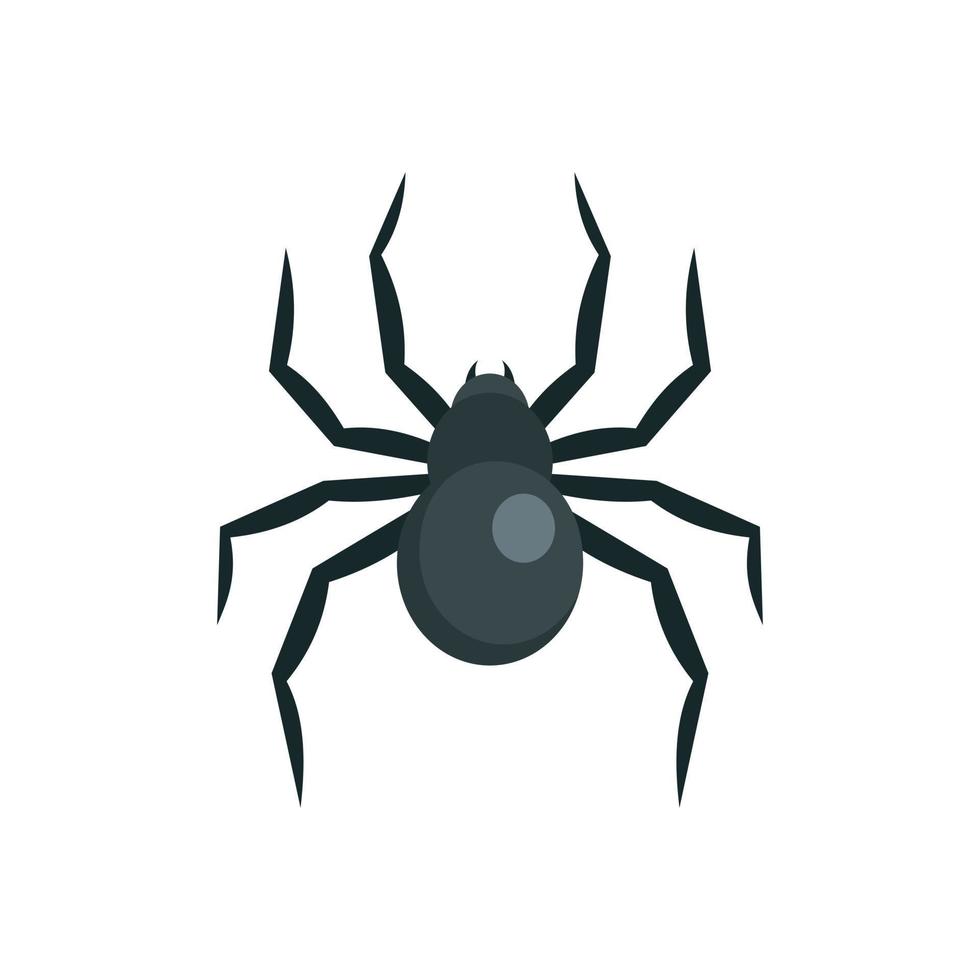 Black widow spider icon, flat style vector