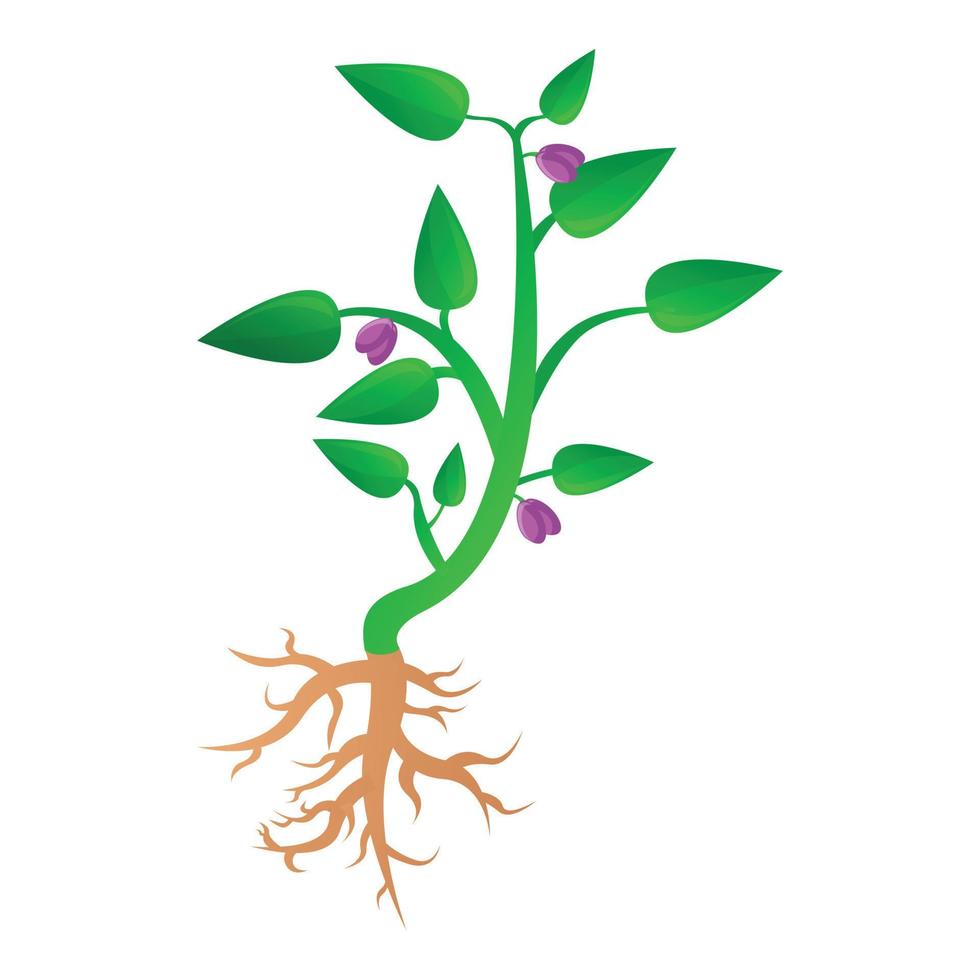 icono de la planta de soja, estilo de dibujos animados vector
