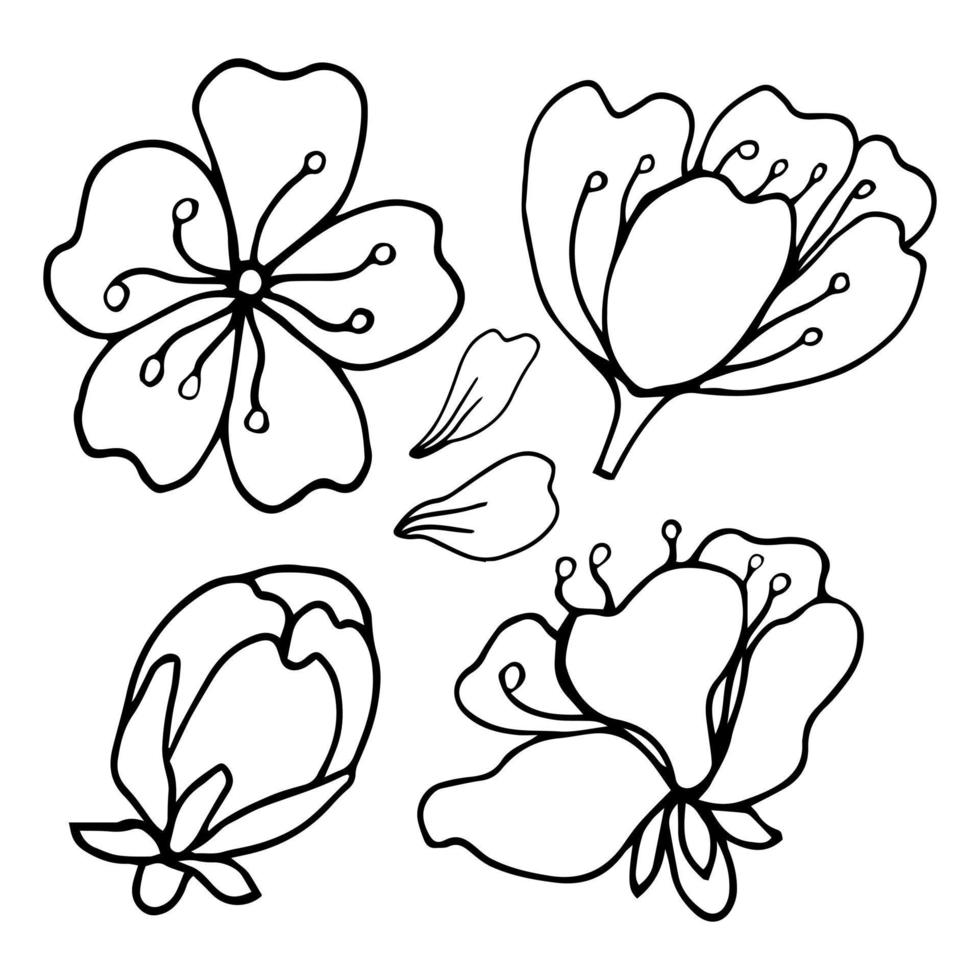 Sakura graphic flower black white isolated sketch set illustration vector