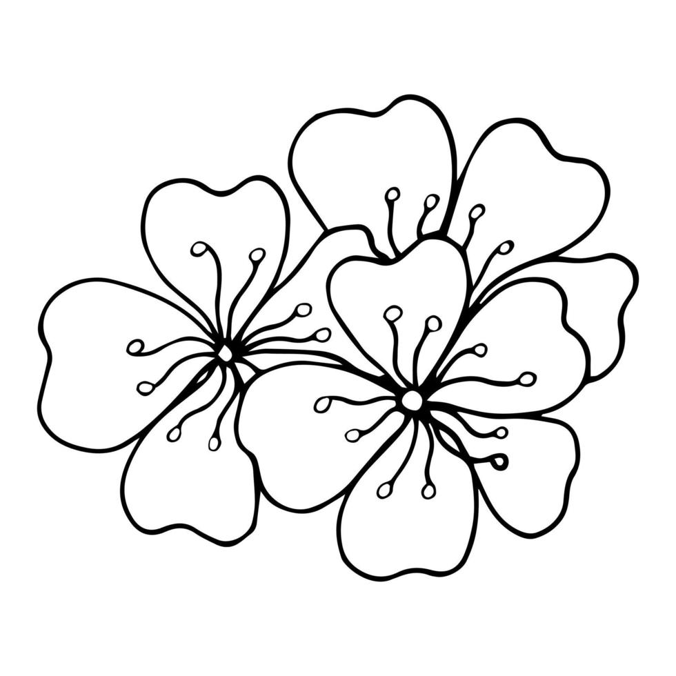 Sakura flower doodle icon. Back line isolated on white. One line contour floral drawing.Vector illustration vector