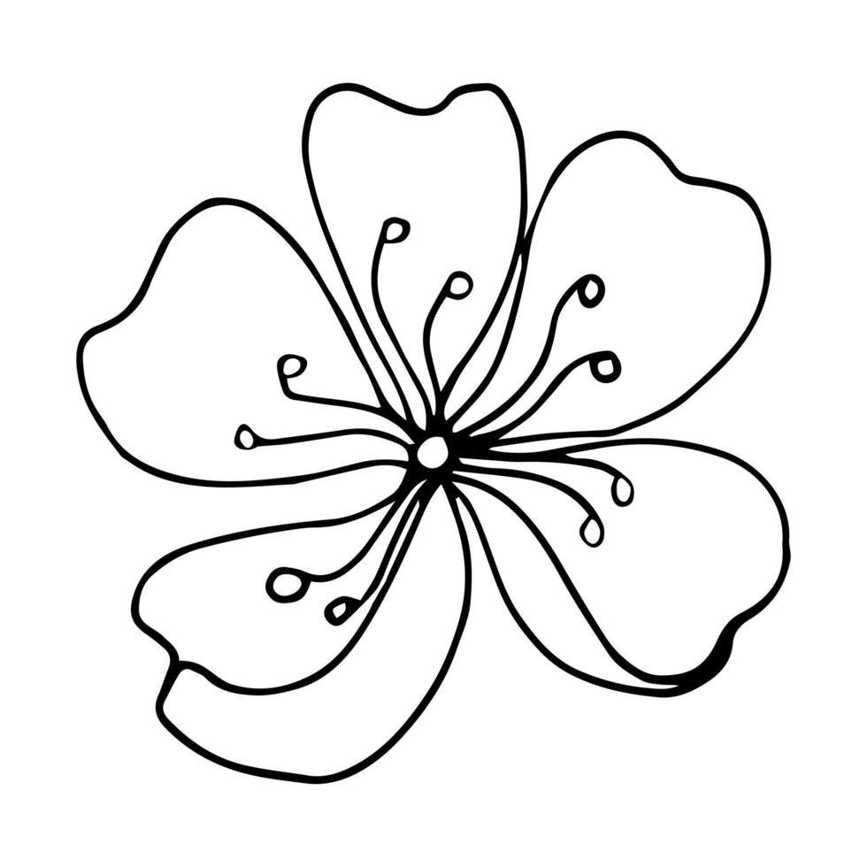 Sakura flower doodle icon. Back line isolated on white. One line contour floral drawing.Vector illustration vector