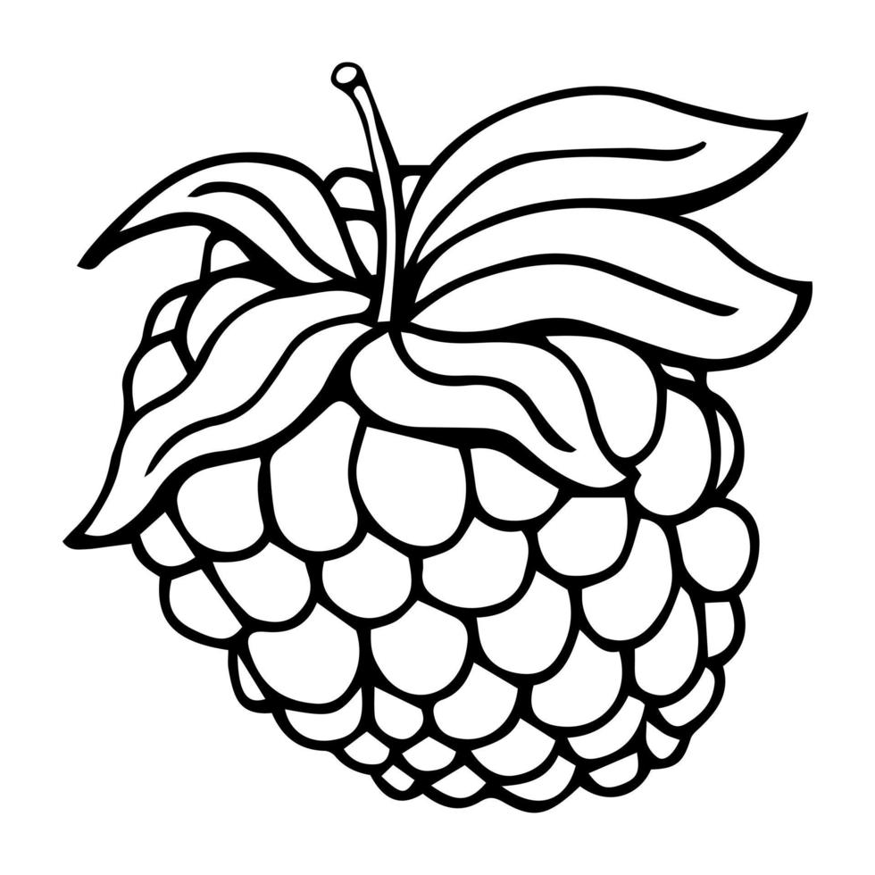 Raspberry vector drawing. Isolated berry branch sketch on white background. Summer fruit engraved style illustration. Detailed hand drawn vegetarian food. Great for label, poster, print
