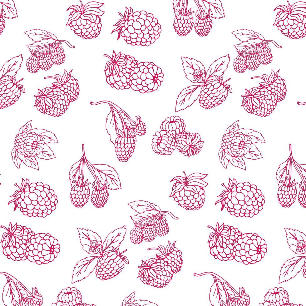 Elegant pattern with raspberry fruits, design elements. Fruit pattern for invitations, cards, print, gift wrap, manufacturing, textile, fabric, wallpapers. Food, kitchen, vegetarian theme vector