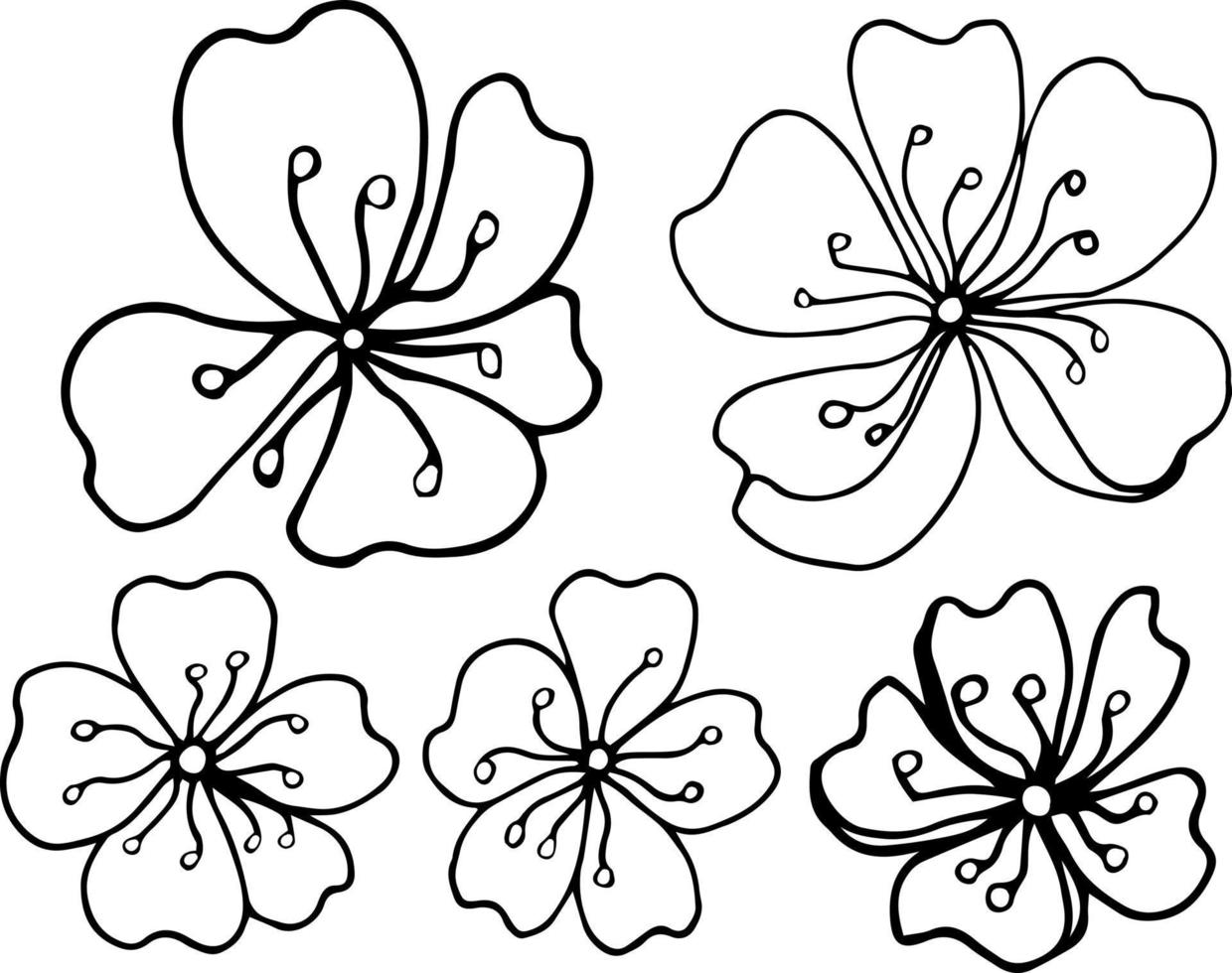 Sakura graphic flower black white isolated sketch set illustration vector