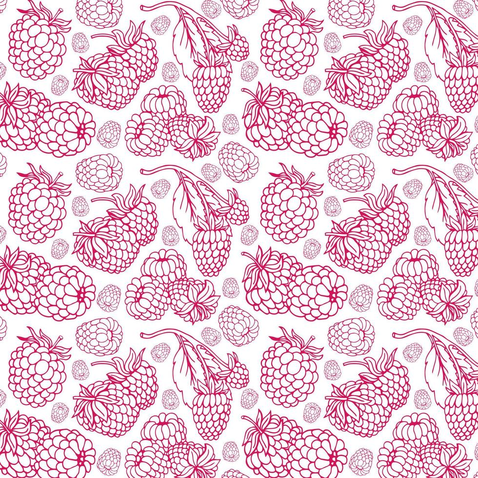 Pattern with raspberries. Vector illustration